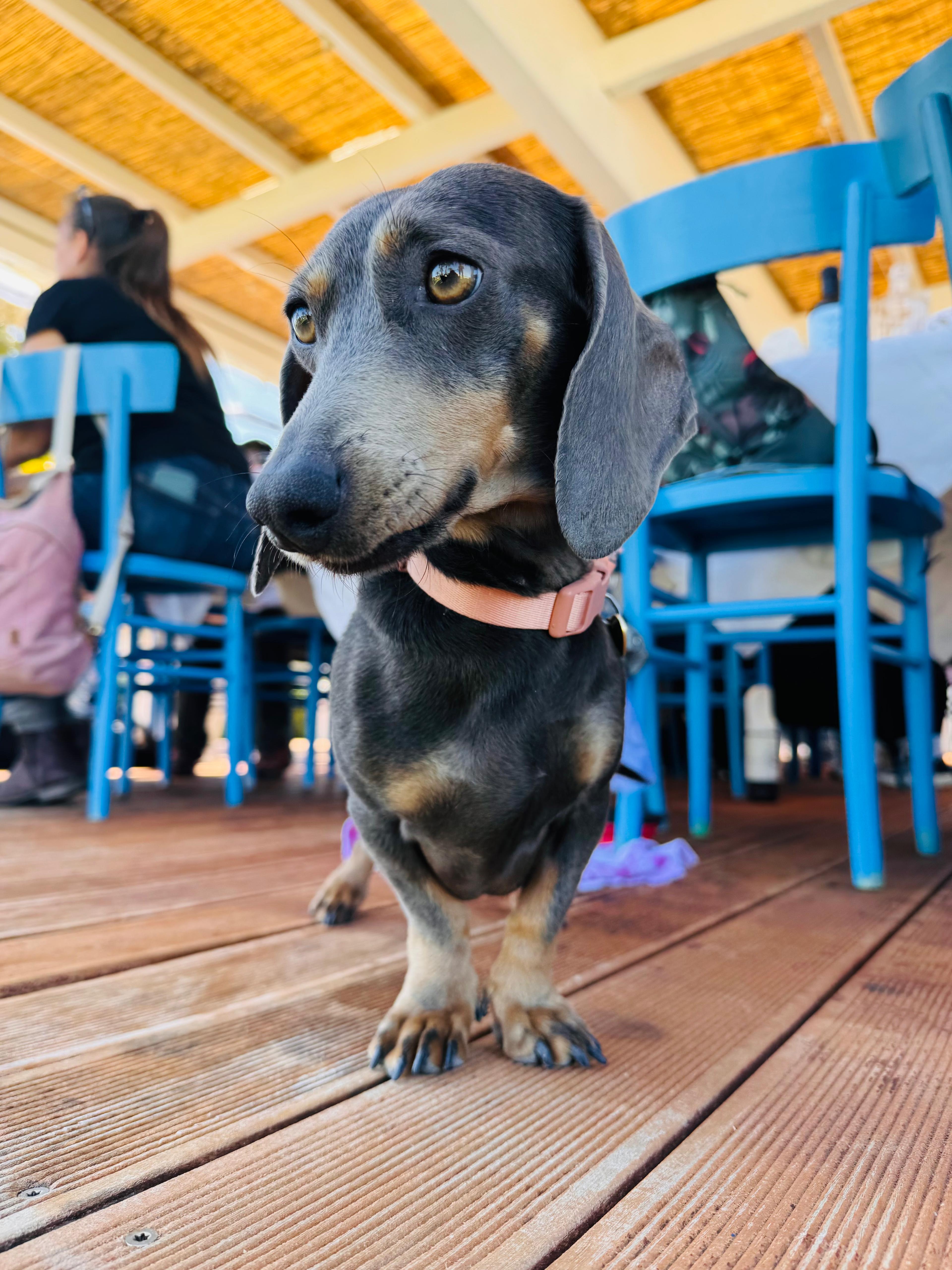 Carousel Image